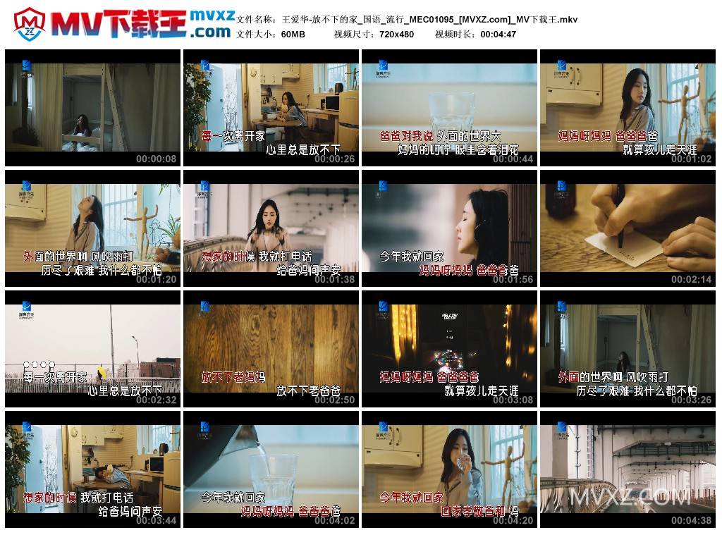 王爱华-放不下的家_国语_流行_MEC01095